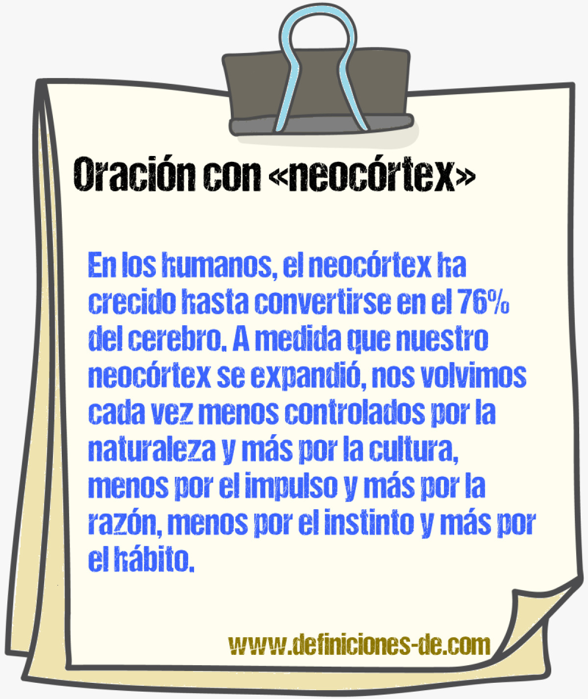 Ejemplos de oraciones con neocrtex